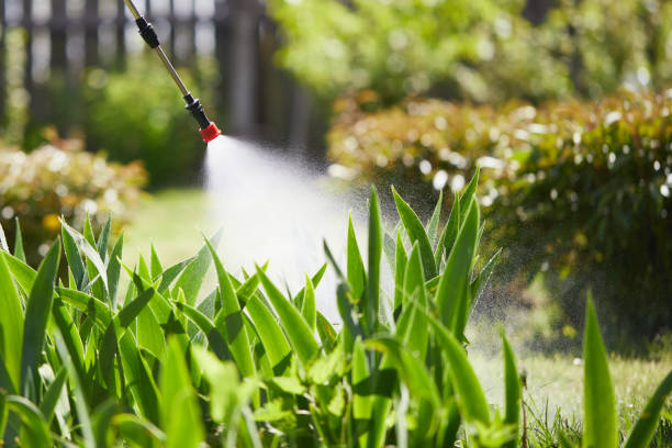 24/7 Emergency Ant Control experts in Ortonville, MI