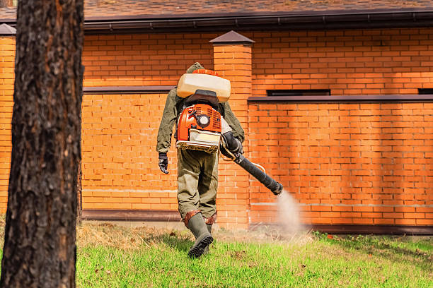 Trusted Cockroach Control service in Ortonville, MI - Nex Pest Control